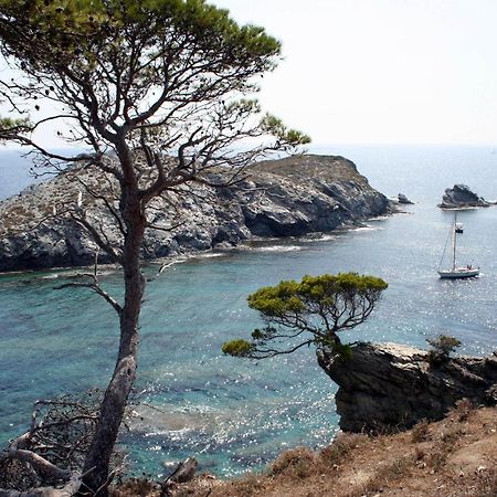 T2 Vue Mer 50M De La Plage A Giens Hyères Exterior foto